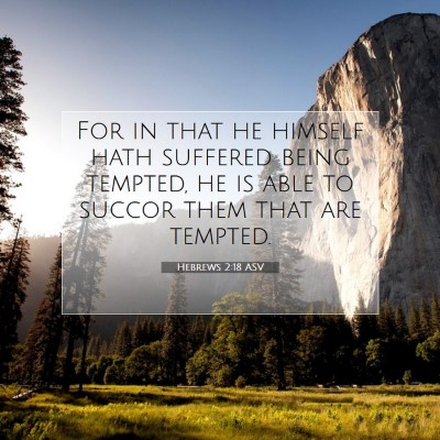 Picture 07 - Hebrews 2:18 ASV - For in that he himself hath suffered being - Bible Verse Picture