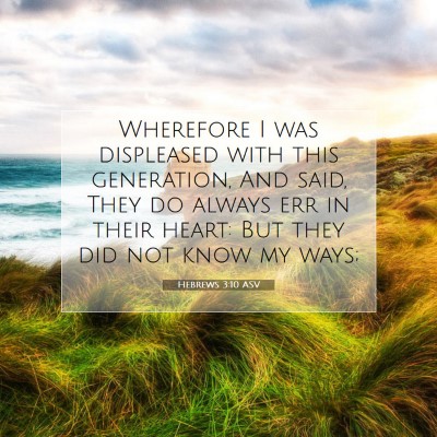 Picture 07 - Hebrews 3:10 ASV - Wherefore I was displeased with this generation, - Bible Verse Picture