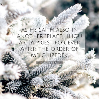 Picture 07 - Hebrews 5:6 ASV - as he saith also in another `place,' Thou art a - Bible Verse Picture