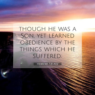 Picture 07 - Hebrews 5:8 ASV - though he was a Son, yet learned obedience by the - Bible Verse Picture