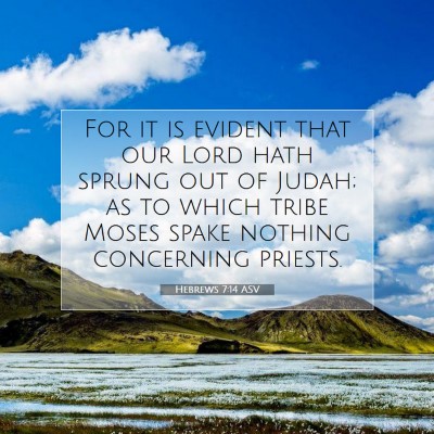 Picture 07 - Hebrews 7:14 ASV - For it is evident that our Lord hath sprung out - Bible Verse Picture