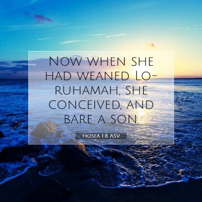 Picture 07 - Hosea 1:8 ASV - Now when she had weaned Lo-ruhamah, she - Bible Verse Picture