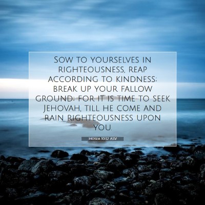 Picture 07 - Hosea 10:12 ASV - Sow to yourselves in righteousness, reap - Bible Verse Picture