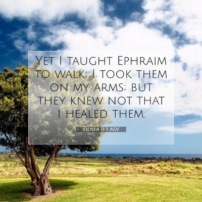 Picture 07 - Hosea 11:3 ASV - Yet I taught Ephraim to walk; I took them on my - Bible Verse Picture