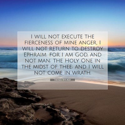Picture 07 - Hosea 11:9 ASV - I will not execute the fierceness of mine anger, - Bible Verse Picture
