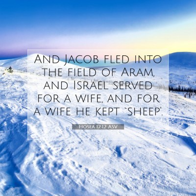 Picture 07 - Hosea 12:12 ASV - And Jacob fled into the field of Aram, and Israel - Bible Verse Picture