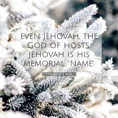 Picture 07 - Hosea 12:5 ASV - even Jehovah, the God of hosts; Jehovah is his - Bible Verse Picture