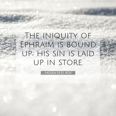 Picture 07 - Hosea 13:12 ASV - The iniquity of Ephraim is bound up; his sin is - Bible Verse Picture