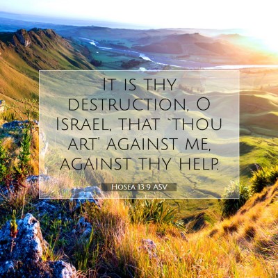 Picture 07 - Hosea 13:9 ASV - It is thy destruction, O Israel, that `thou art' - Bible Verse Picture