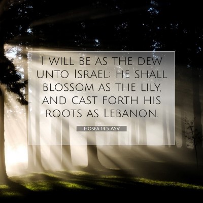Picture 07 - Hosea 14:5 ASV - I will be as the dew unto Israel; he shall - Bible Verse Picture