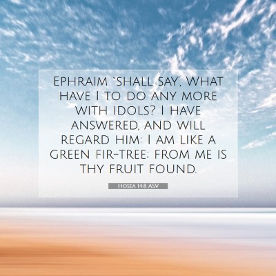Picture 07 - Hosea 14:8 ASV - Ephraim `shall say', What have I to do any more - Bible Verse Picture