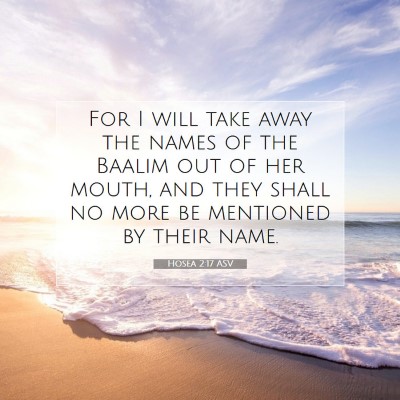 Picture 07 - Hosea 2:17 ASV - For I will take away the names of the Baalim out - Bible Verse Picture