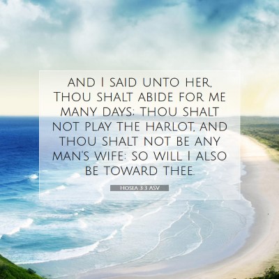 Picture 07 - Hosea 3:3 ASV - and I said unto her, Thou shalt abide for me many - Bible Verse Picture