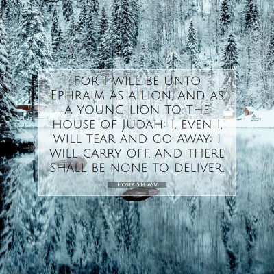 Picture 07 - Hosea 5:14 ASV - For I will be unto Ephraim as a lion, and as a - Bible Verse Picture