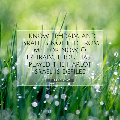 Picture 07 - Hosea 5:3 ASV - I know Ephraim, and Israel is not hid from me; - Bible Verse Picture