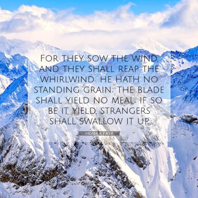 Picture 07 - Hosea 8:7 ASV - For they sow the wind, and they shall reap the - Bible Verse Picture