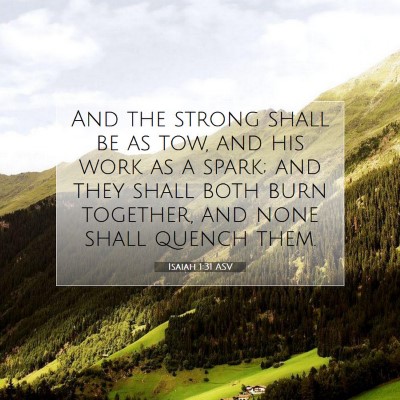 Picture 07 - Isaiah 1:31 ASV - And the strong shall be as tow, and his work as a - Bible Verse Picture