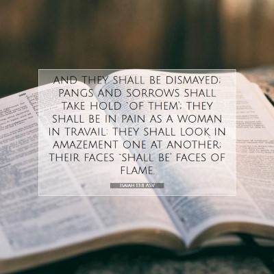Picture 07 - Isaiah 13:8 ASV - and they shall be dismayed; pangs and sorrows - Bible Verse Picture