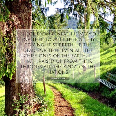Picture 07 - Isaiah 14:9 ASV - Sheol from beneath is moved for thee to meet thee - Bible Verse Picture