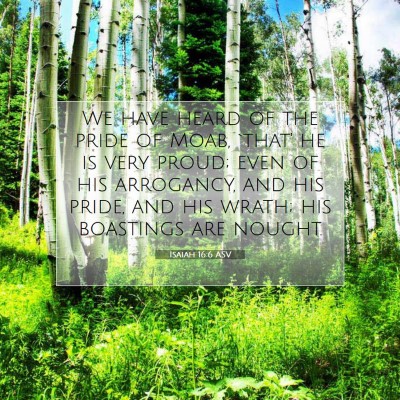 Picture 07 - Isaiah 16:6 ASV - We have heard of the pride of Moab, `that' he is - Bible Verse Picture