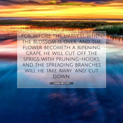 Picture 07 - Isaiah 18:5 ASV - For before the harvest, when the blossom is over, - Bible Verse Picture