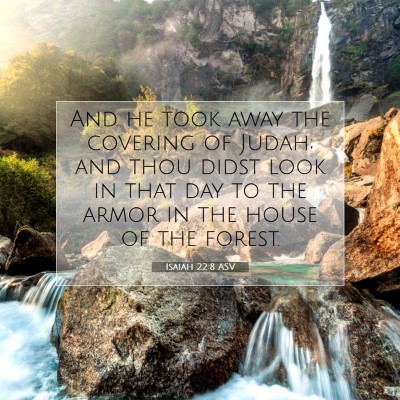 Picture 07 - Isaiah 22:8 ASV - And he took away the covering of Judah; and thou - Bible Verse Picture