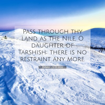 Picture 07 - Isaiah 23:10 ASV - Pass through thy land as the Nile, O daughter of - Bible Verse Picture
