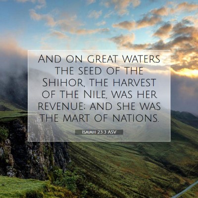 Picture 07 - Isaiah 23:3 ASV - And on great waters the seed of the Shihor, the - Bible Verse Picture