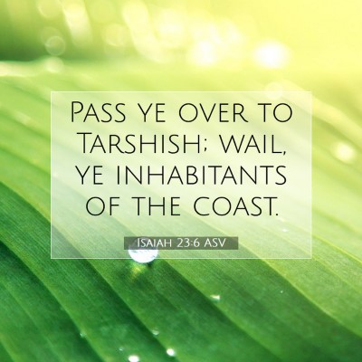 Picture 07 - Isaiah 23:6 ASV - Pass ye over to Tarshish; wail, ye inhabitants of - Bible Verse Picture
