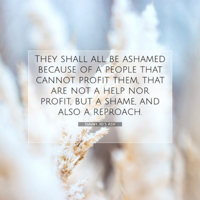 Picture 07 - Isaiah 30:5 ASV - They shall all be ashamed because of a people - Bible Verse Picture