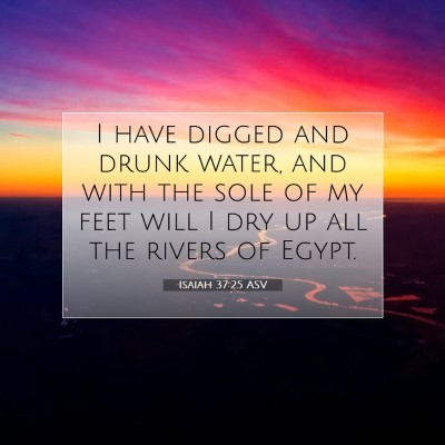 Picture 07 - Isaiah 37:25 ASV - I have digged and drunk water, and with the sole - Bible Verse Picture
