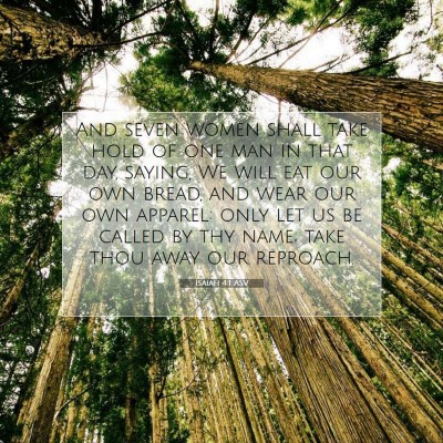 Picture 07 - Isaiah 4:1 ASV - And seven women shall take hold of one man in - Bible Verse Picture
