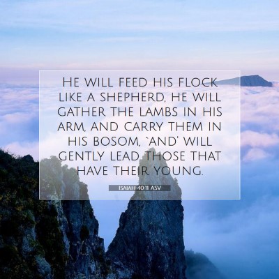 Picture 07 - Isaiah 40:11 ASV - He will feed his flock like a shepherd, he will - Bible Verse Picture