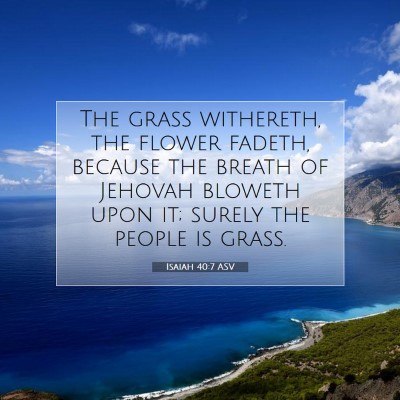 Picture 07 - Isaiah 40:7 ASV - The grass withereth, the flower fadeth, because - Bible Verse Picture