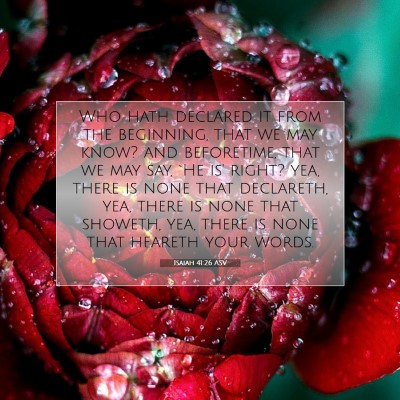 Picture 07 - Isaiah 41:26 ASV - Who hath declared it from the beginning, that we - Bible Verse Picture