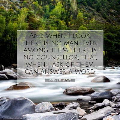 Picture 07 - Isaiah 41:28 ASV - And when I look, there is no man: even among them - Bible Verse Picture