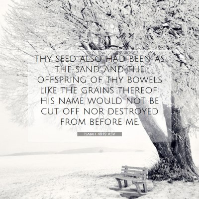 Picture 07 - Isaiah 48:19 ASV - thy seed also had been as the sand, and the - Bible Verse Picture