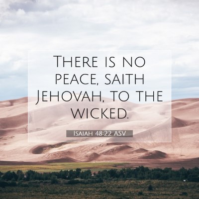 Picture 07 - Isaiah 48:22 ASV - There is no peace, saith Jehovah, to the - Bible Verse Picture