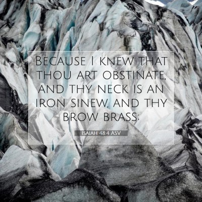 Picture 07 - Isaiah 48:4 ASV - Because I knew that thou art obstinate, and thy - Bible Verse Picture