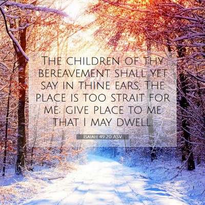 Picture 07 - Isaiah 49:20 ASV - The children of thy bereavement shall yet say in - Bible Verse Picture