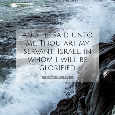 Picture 07 - Isaiah 49:3 ASV - and he said unto me, Thou art my servant; Israel, - Bible Verse Picture