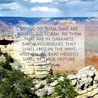 Picture 07 - Isaiah 49:9 ASV - saying to them that are bound, Go forth; to them - Bible Verse Picture