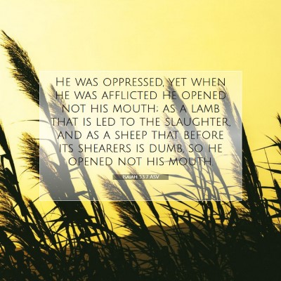 Picture 07 - Isaiah 53:7 ASV - He was oppressed, yet when he was afflicted he - Bible Verse Picture