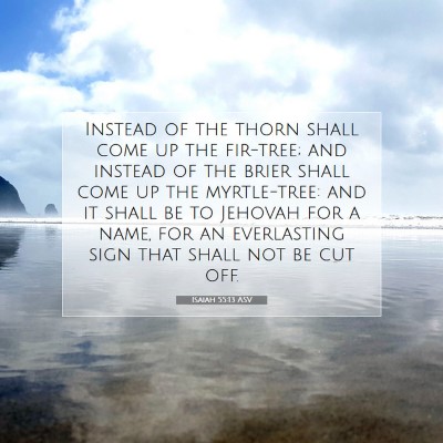 Picture 07 - Isaiah 55:13 ASV - Instead of the thorn shall come up the fir-tree; - Bible Verse Picture