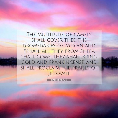 Picture 07 - Isaiah 60:6 ASV - The multitude of camels shall cover thee, the - Bible Verse Picture