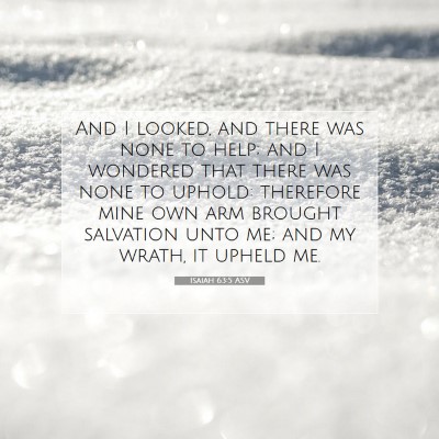 Picture 07 - Isaiah 63:5 ASV - And I looked, and there was none to help; and I - Bible Verse Picture