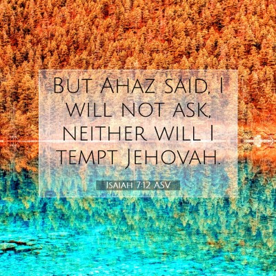 Picture 07 - Isaiah 7:12 ASV - But Ahaz said, I will not ask, neither will I - Bible Verse Picture