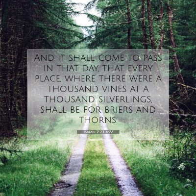 Picture 07 - Isaiah 7:23 ASV - And it shall come to pass in that day, that every - Bible Verse Picture
