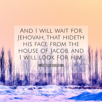 Picture 07 - Isaiah 8:17 ASV - And I will wait for Jehovah, that hideth his face - Bible Verse Picture