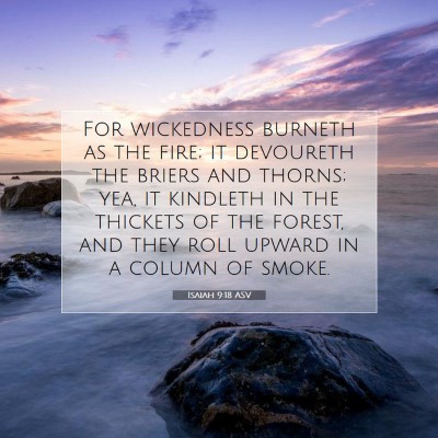 Picture 07 - Isaiah 9:18 ASV - For wickedness burneth as the fire; it devoureth - Bible Verse Picture